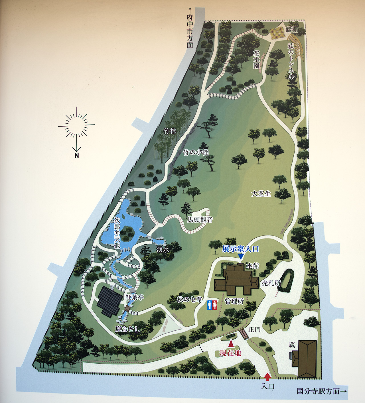 殿ヶ谷戸庭園 竹林と紅葉の美競演 -庭園ガイド