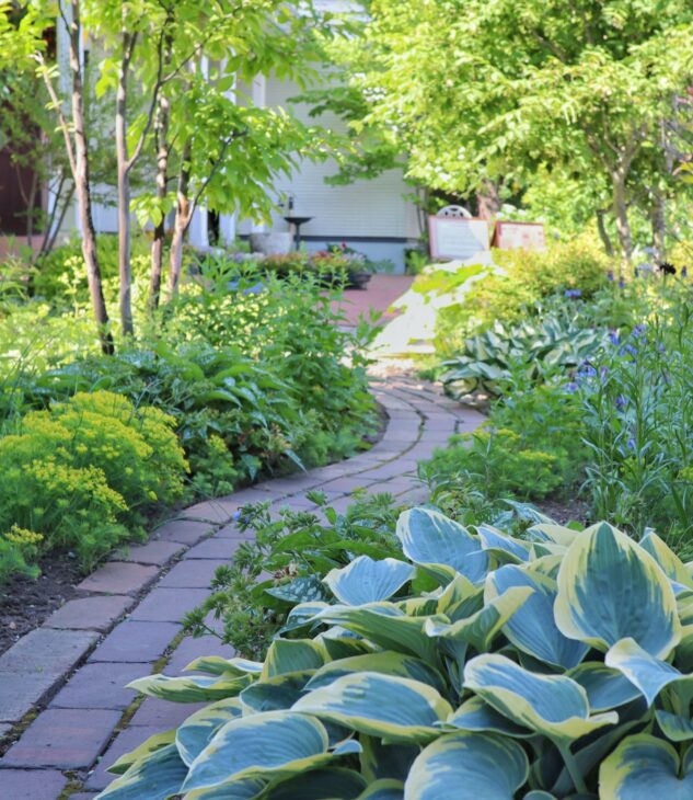 初心者でも簡単！おしゃれな花壇レイアウトの秘訣10選 ｜スタッフ