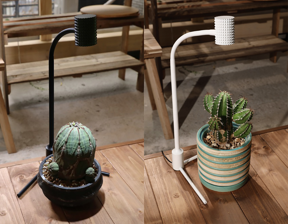 多肉植物や観葉植物に【フルスペクトル植物育成LEDライト】活用の