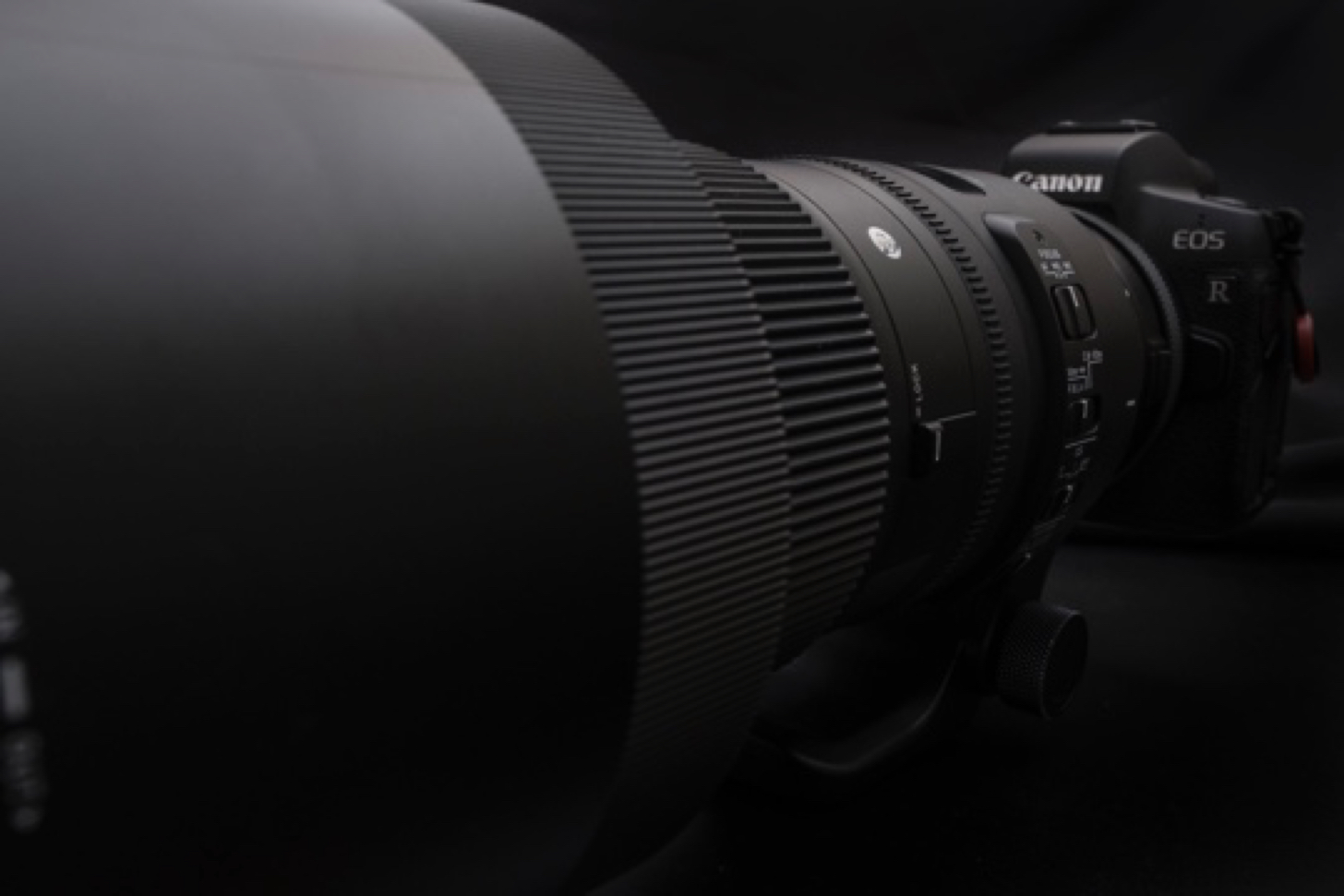 RF純正望遠レンズが高い！そんな時には、SIGMA 150-600mm F5-6.3 DG OS