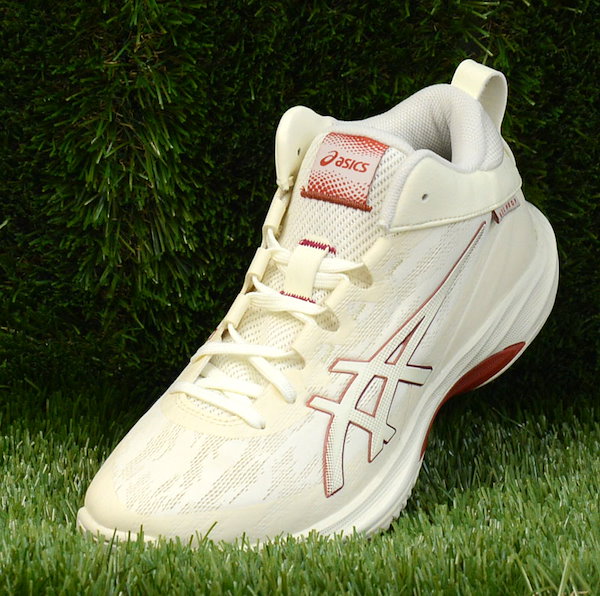 Qoo10] アシックス GELHOOP V17 STANDARD