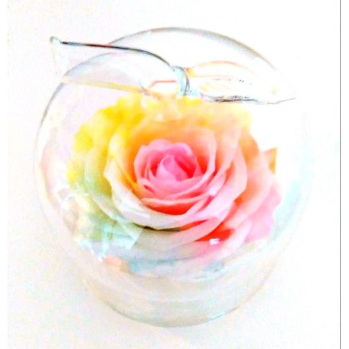 Qoo10] 高級プリザーブドフラワー高級ケース入り大