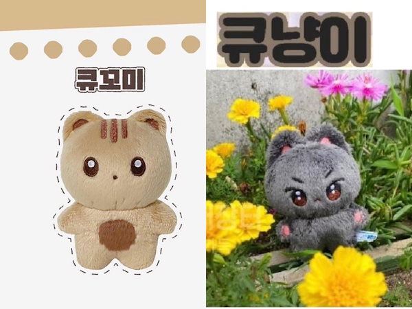 Qoo10] THE BOYZ ドボイズ ドボ キュ