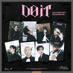 Stray Kids DO IT トレカ