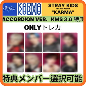 straykids kms 3.0