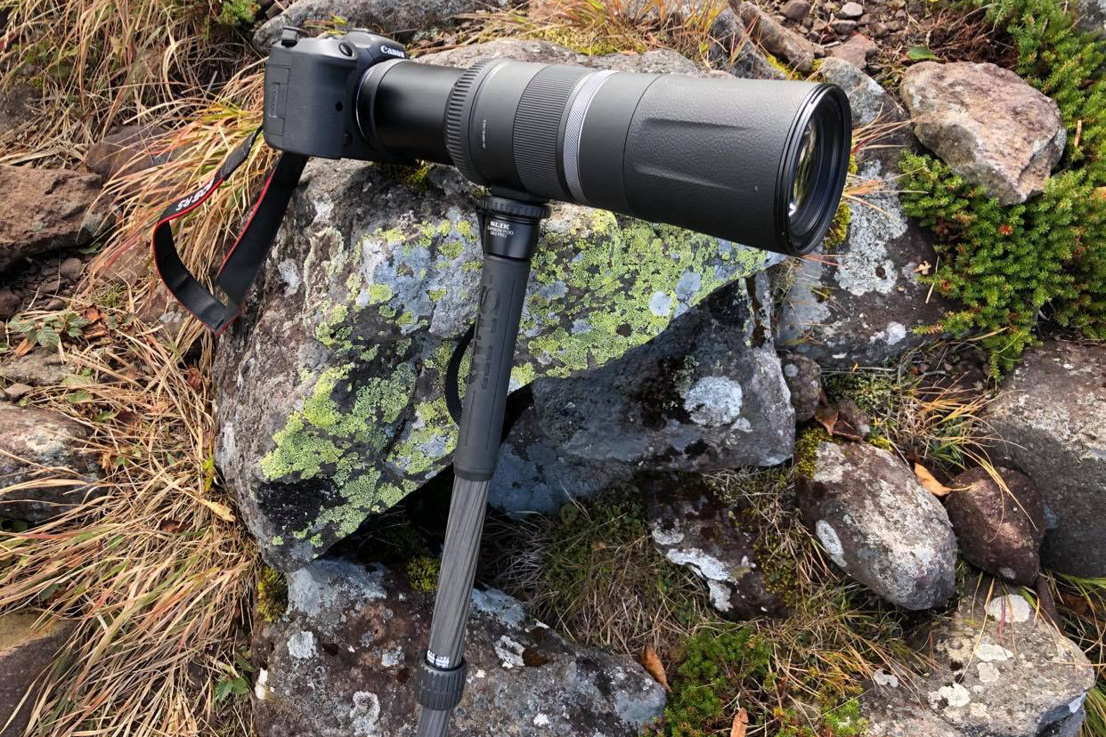 軽くて小さいは正義か？ お手頃価格のキヤノン「RF800mm F11 IS STM