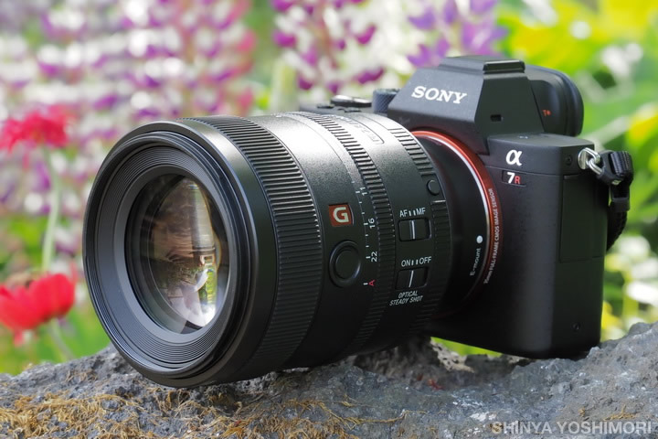 珠玉のボケ描写が得られる高性能・中望遠単焦点レンズ『ソニー FE