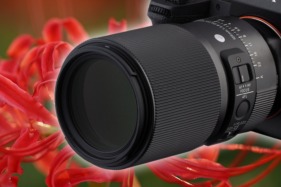 シャープさとボケの両立が見事！ 描写にこだわった中望遠マクロ「SIGMA