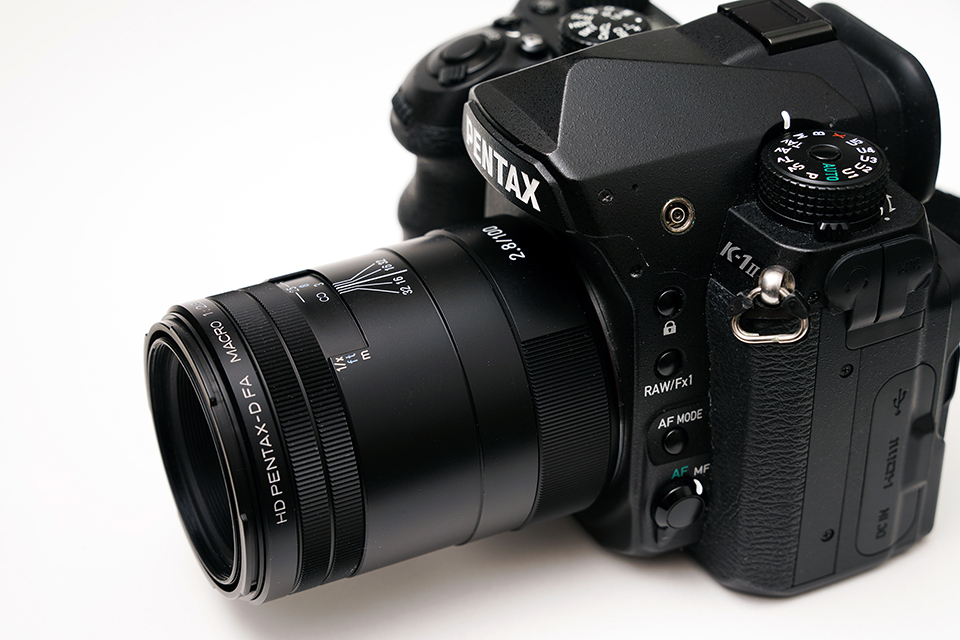 HD PENTAX-D FA MACRO 100mmF2.8ED AW 実写レビュー！ 人気100mmマクロ
