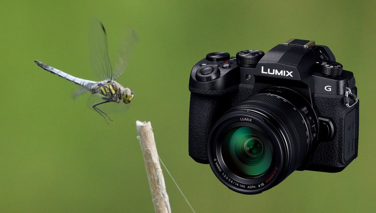 やっぱり“軽くて使いやすい”は正義! パナソニック「LUMIX G99