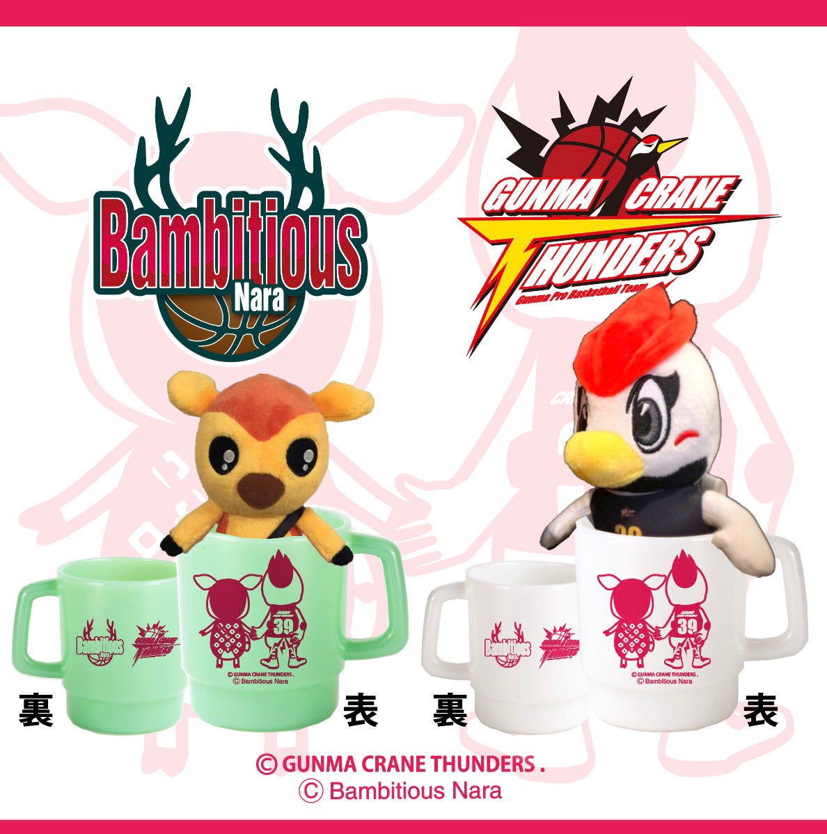 2月5日（金）、2月6日（土）バンビシャス奈良&群馬クレインサンダーズ