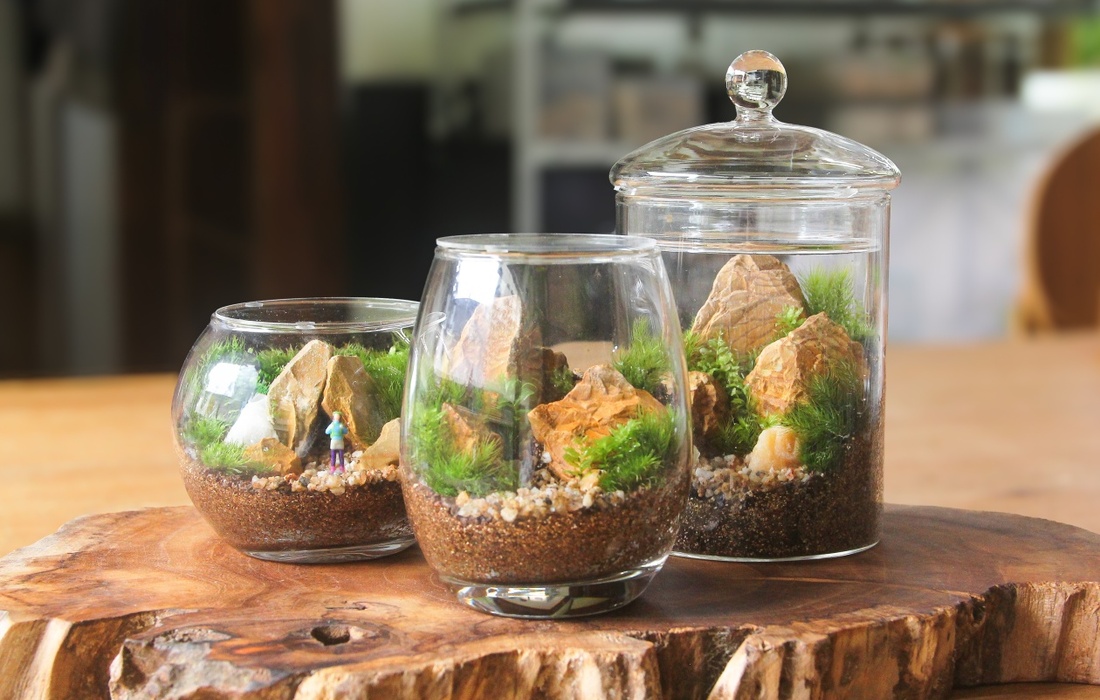 苔テラリウム作りコース」の体験ギフト。苔むすび 所要時間：60分 2人