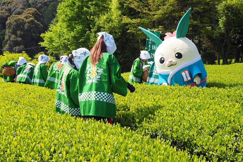 池田町 の農業 | ぎふ就農・就業ポータルサイト「ぎふっ晴れ」