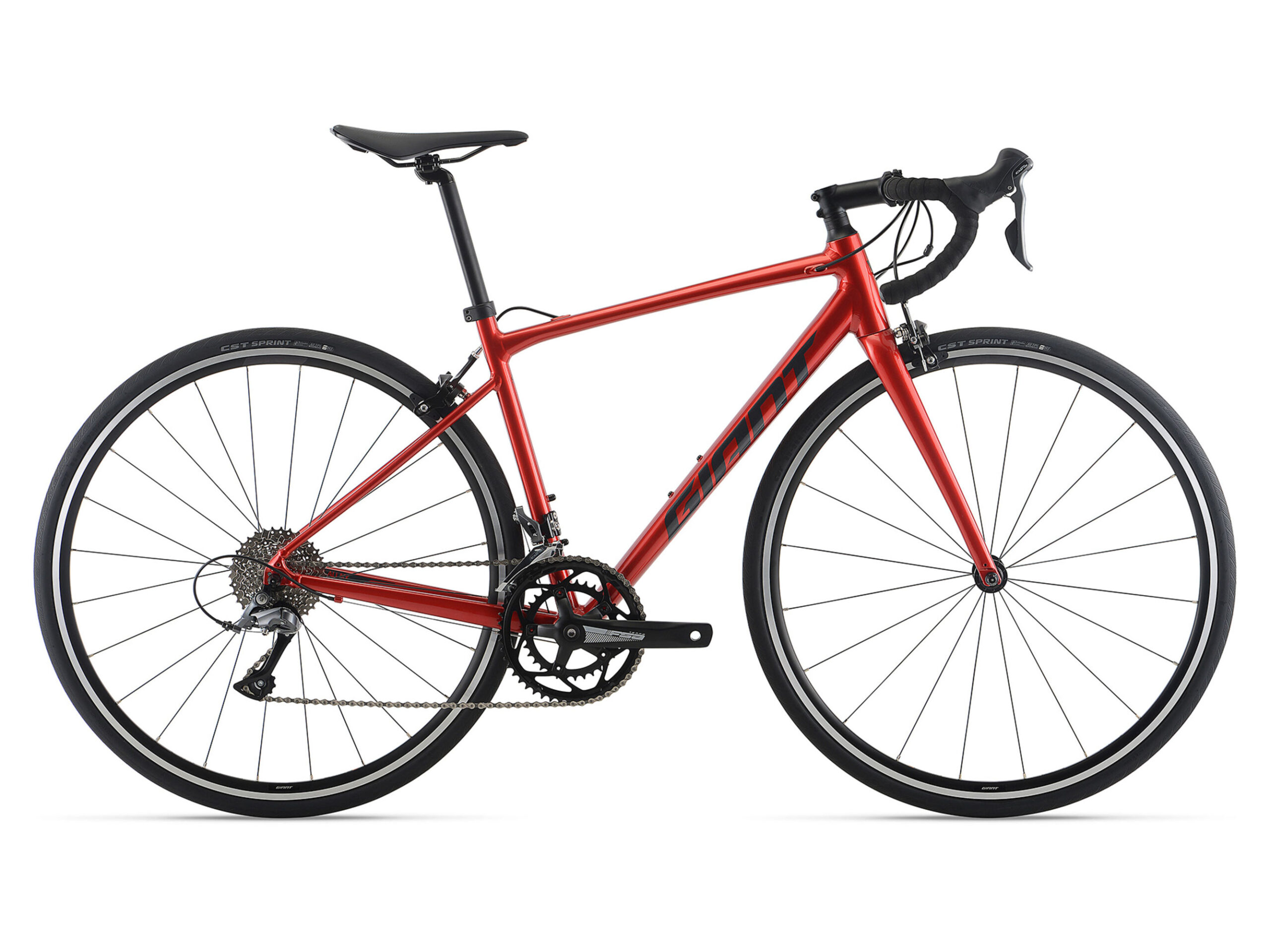 2025モデル】人気シリーズCONTENDなどのニューモデルが発表【新登場