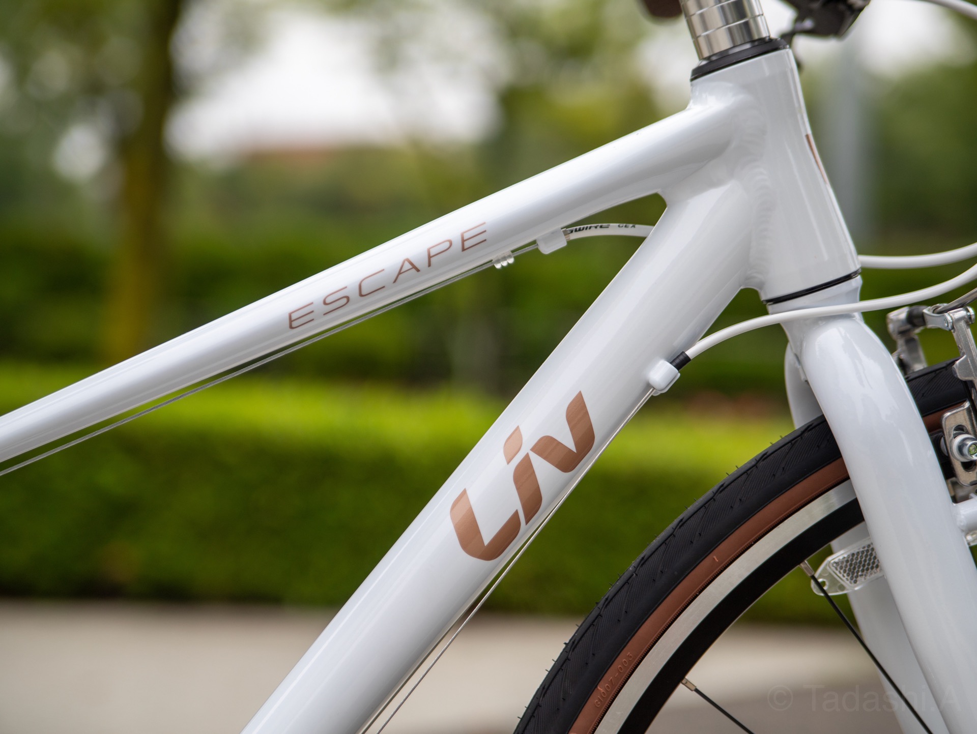 2020年早期モデルLiv「ESCAPE R3 W」入荷しました！！ ｜ ジャイアント