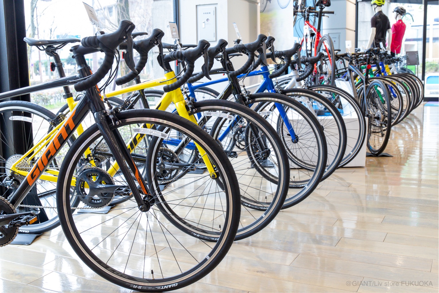 福岡でクロスバイクをお探しならジャイアント/リブストア福岡へ