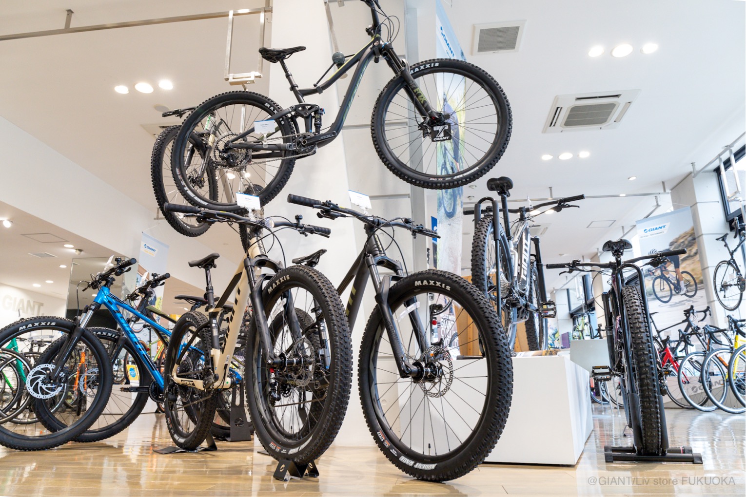 福岡でクロスバイクをお探しならジャイアント/リブストア福岡へ