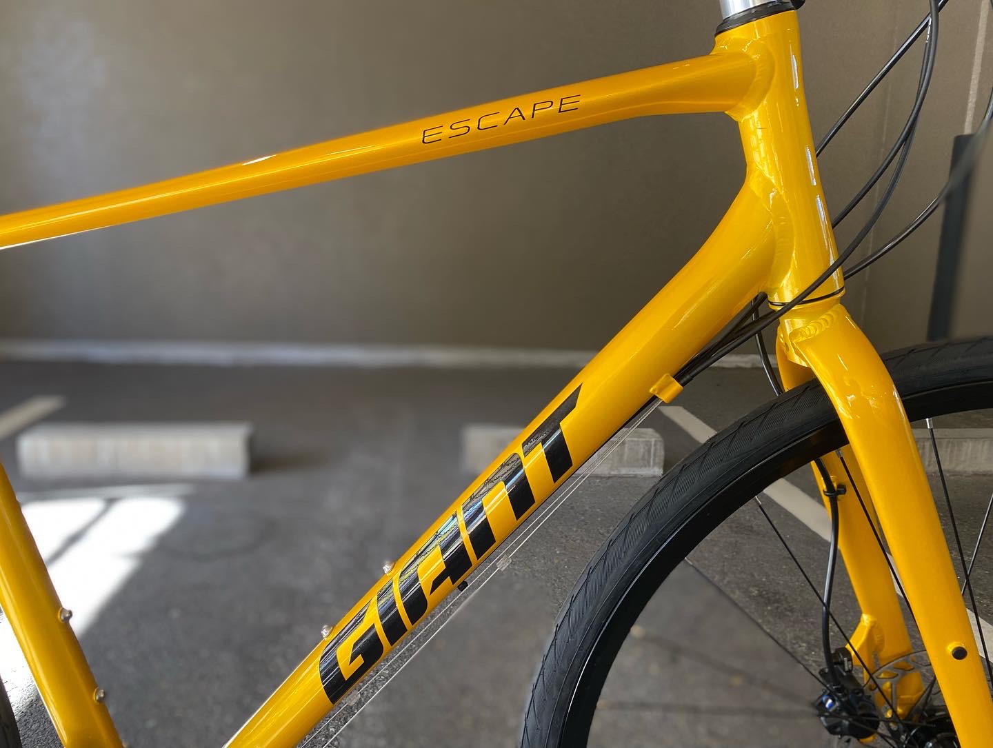 GIANT/2023年モデル】店頭展示車のご紹介 ｜ ジャイアントストア神戸