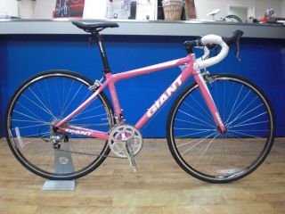 2010年モデル（model year 10）続々入荷中！ ｜ ジャイアントストア国立