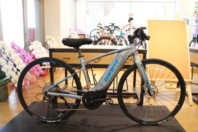 スポーツタイプ電動レンタサイクル GIANT ESCAPE RX-E+で和歌山・白浜