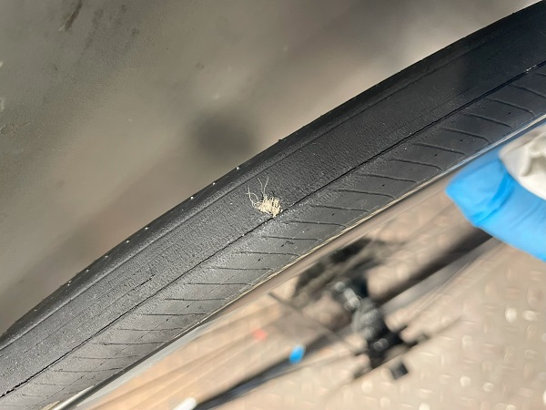 GIANT/Liv】CADEX RACE 装着しました！～作業編～ ｜ ジャイアント