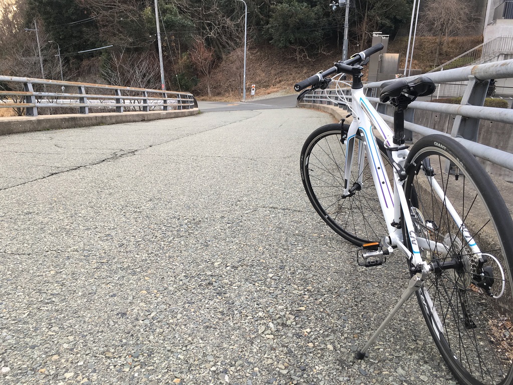 Liv」アクティブな女性のパートナーに「ESCAPE RX W」 ｜ ジャイアント