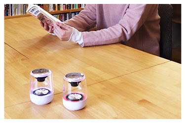 エクサ・レインボーゼロ（EXA-Rainbow 0）1個（単品）｜トータルヘルス