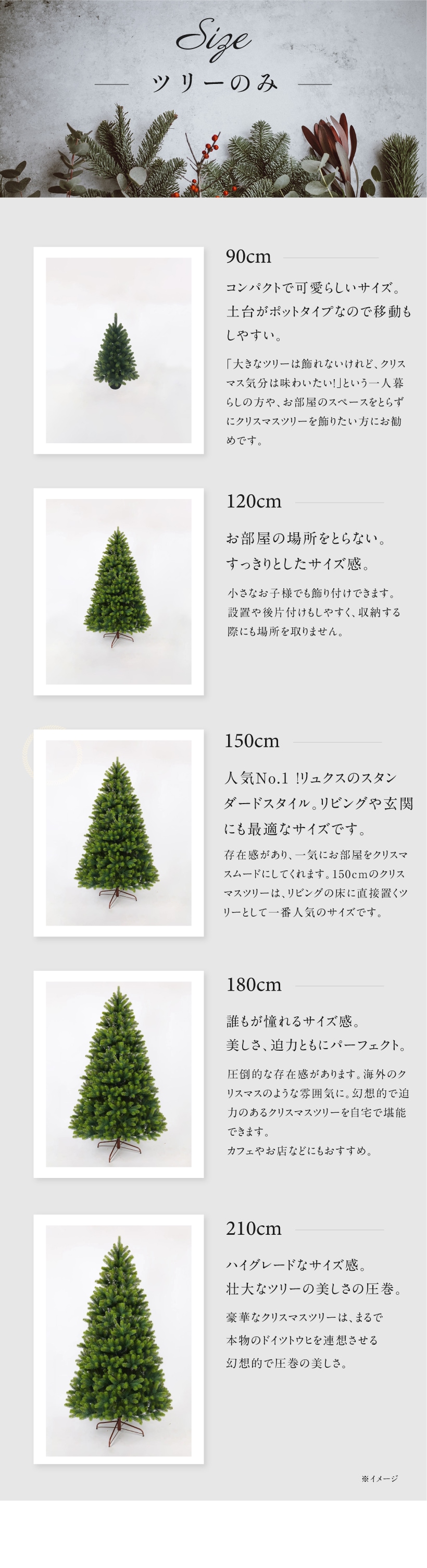 Luxe(TM)正規品 クリスマスツリー ベツレヘム の星 おしゃれ 北欧 高級