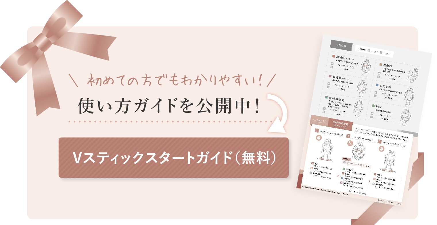 Vスティック（ブイ スティック） | すべて | リッコーオンラインショップ