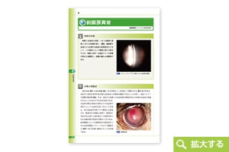 プライマリ・ケアのための診療指針 - 犬と猫の内科学 -│獣医学書籍
