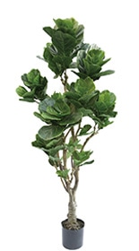 フェイクグリーン カシワバゴム1800｜フェイクグリーン・人工植物 専門