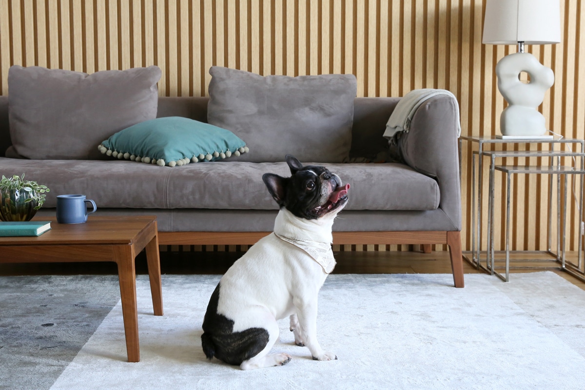 廃番25％OFF】 FRACCE SOFA 1人掛け ベージュ オーク脚