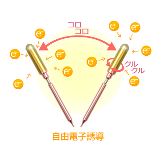 FTWフィオーラ | すべての商品 | | ヒカルランドパーク