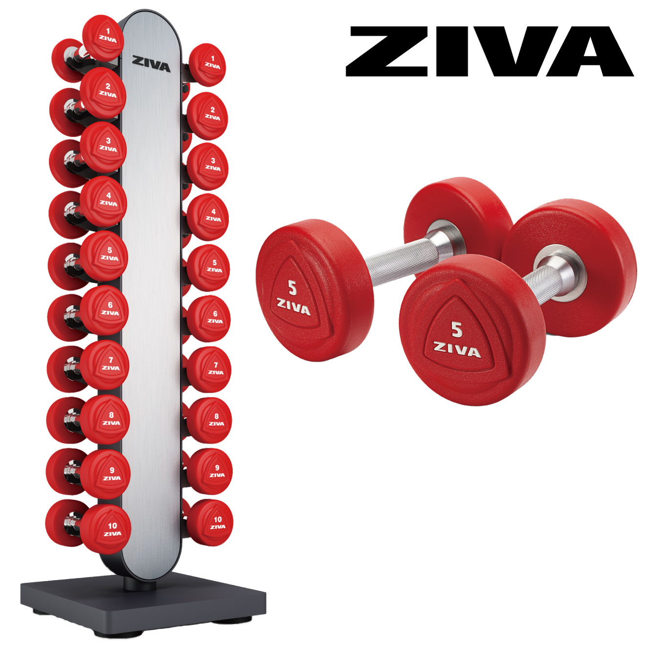 ソリッドウレタンダンベル10ペア＋EXスタジオバーティカルダンベル