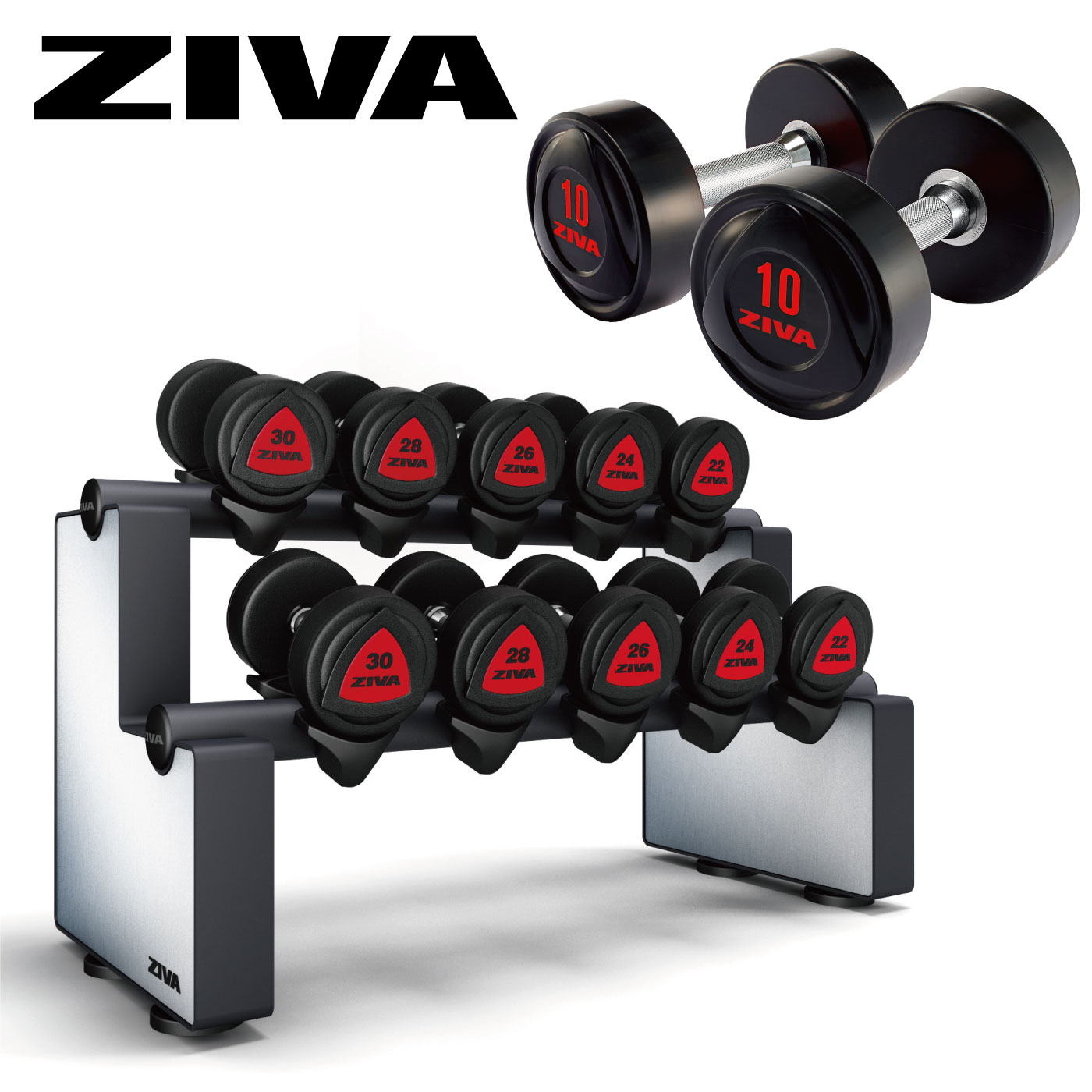 ラバーダンベル5ペア＋ダンベルラックセット（2.5kg-22.5kg）｜業務用