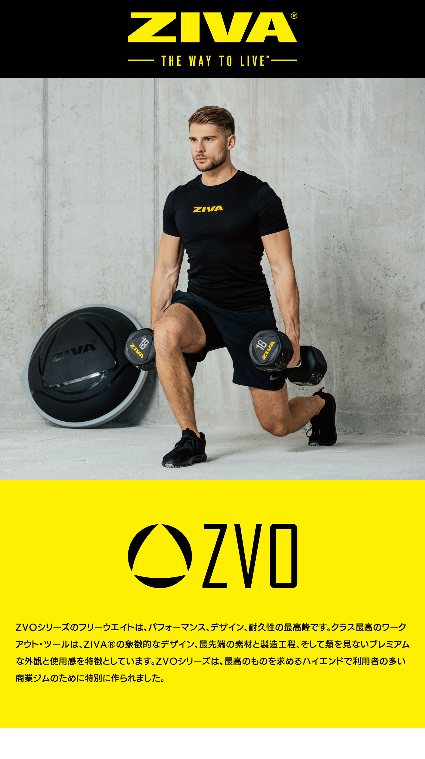 ZVO ウレタングリップディスク14枚セット（1.25kg-25kg）｜業務用