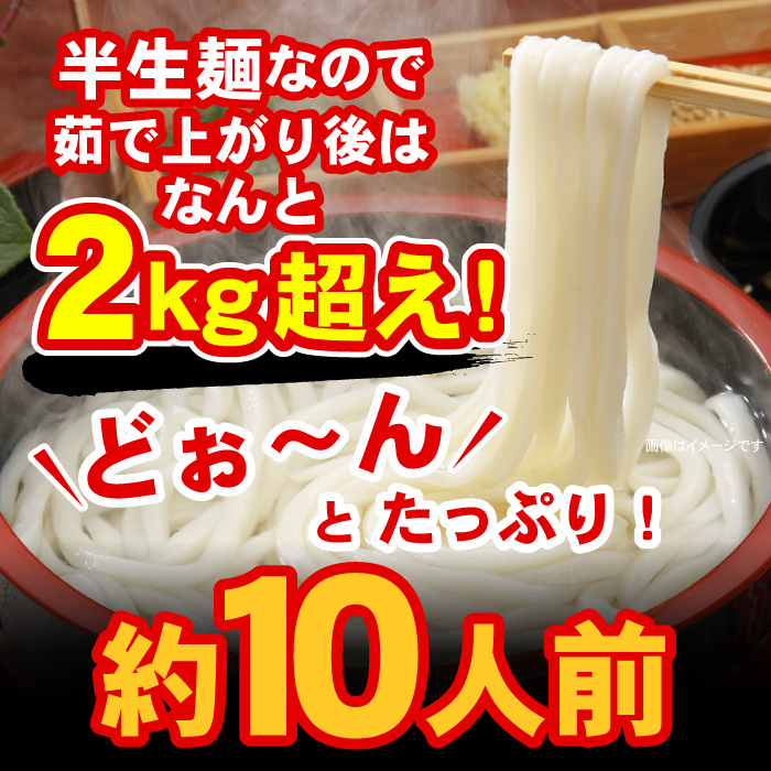 訳あり】半生極太讃岐うどん 950g 約10人前 | 訳あり | 讃岐うどんの