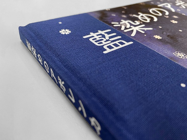 藍染めのアポレンカ Special Edition｜求龍堂