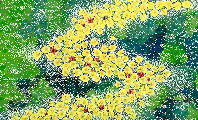 平松礼二 睡蓮交響曲｜求龍堂