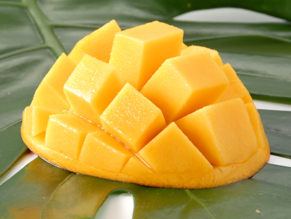 お取り寄せの達人|【予約】宮崎産完熟マンゴー 4L×2玉