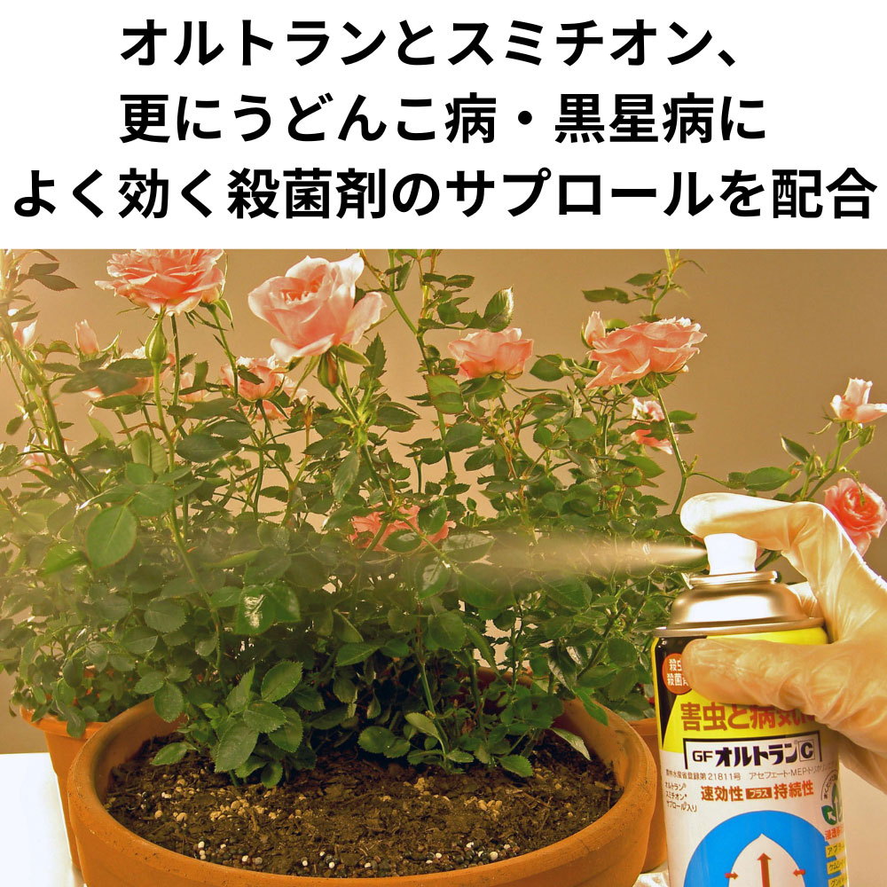 KINCHO園芸 (旧 住友化学園芸) 殺虫剤 GFオルトランC 420ml＜殺虫殺菌