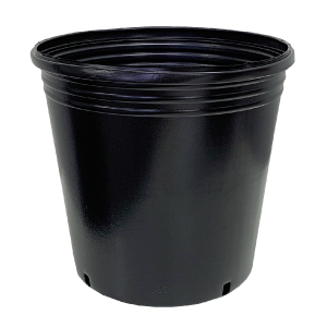 丸型ポリポット15.0cm黒丸 (1000個入り) ブルーベリー資材の通販