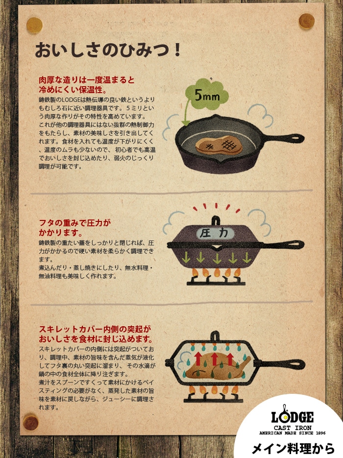 ロジック スキレット 《8インチ》 LODGE SKILLET | 新着 | plywood