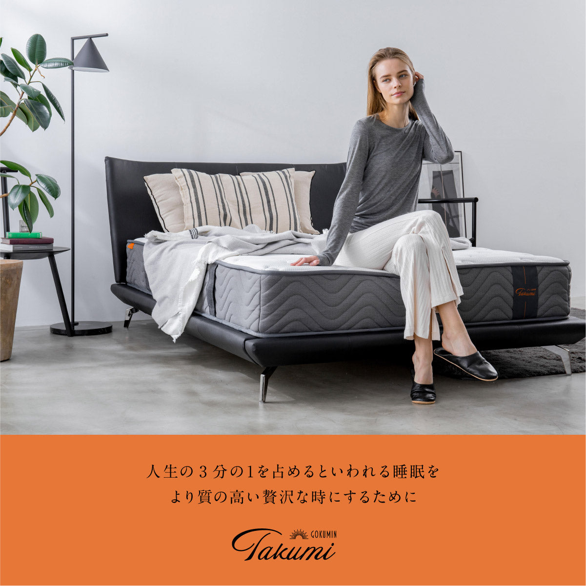 最上級クラスの寝心地 極厚24cm】リバーシブル高密度スプリング