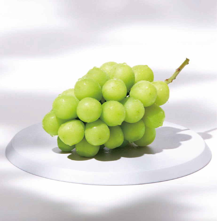 campaign_banner_image.jpg?v=