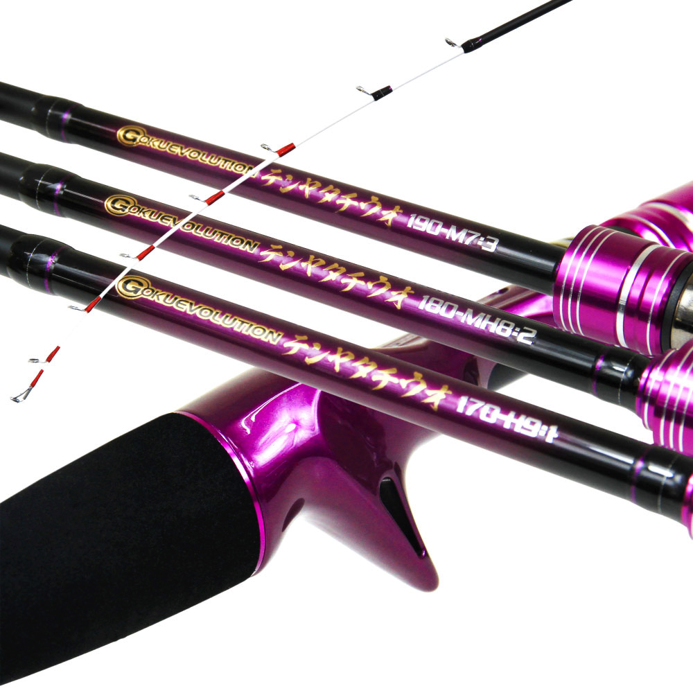 中古 太刀魚シーズン！ GOKUSPE テンヤタチウオ 170-9:1 釣り竿 中古