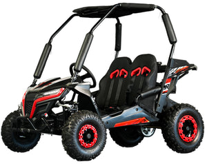 TrailMaster Cheetah-6 Go Kart, 5.5hp Electric Start, Remote Start