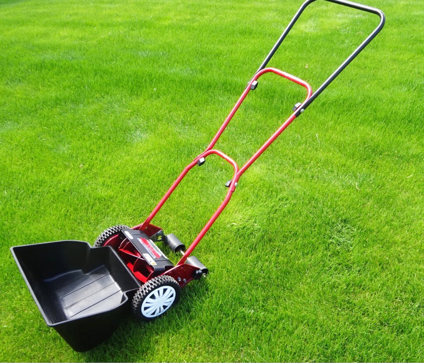 キンボシ株式会社 - Golden Star