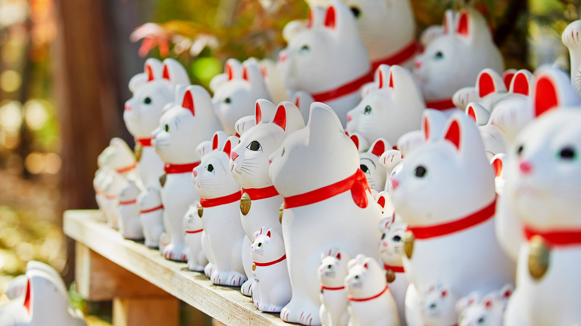 大谿山 豪徳寺【公式サイト】