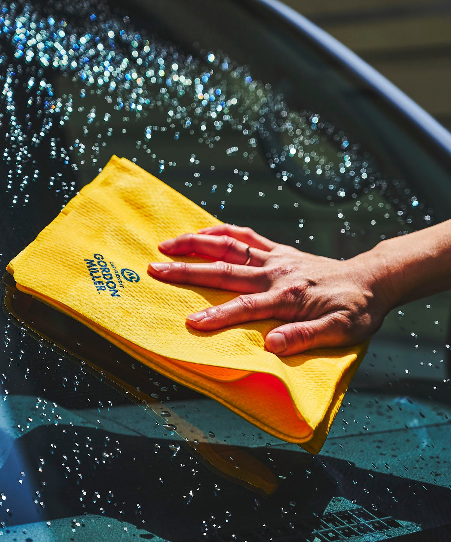 プラスセーヌ 拭き取りクロス ラージサイズ – GORDON MILLER